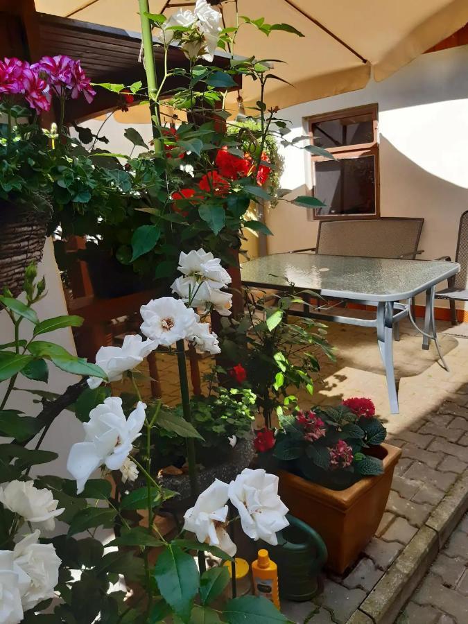 U Pani Malirky Apartment Valtice Exterior photo